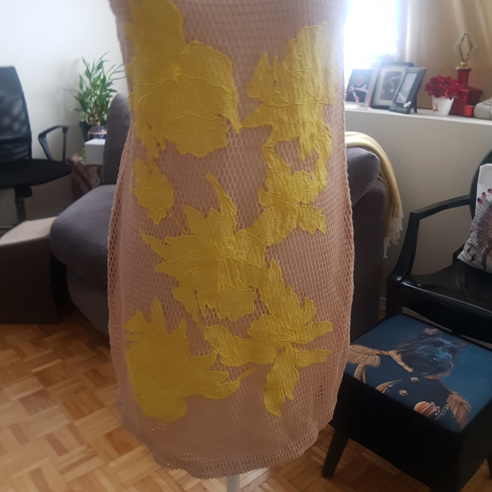 David Bitton Mesh Dress - Picture 3 of 5